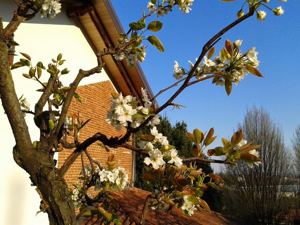 Guest House Cascina Belsito Biella Zewnętrze zdjęcie